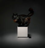 Teenage Engineering OD-11