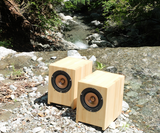 Sparkler Audio model S510 "flavor"