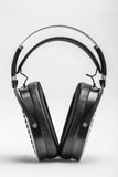 Hifiman Ananda BT DemoModel