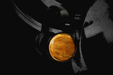Fostex TH810