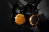 Fostex TH810
