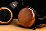Fostex TH810