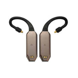 iFi Audio GO pod Max
