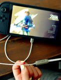 iFi GO cable