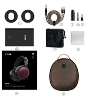 FiiO FT13